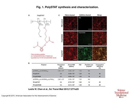 Fig. 1. PolySTAT synthesis and characterization.