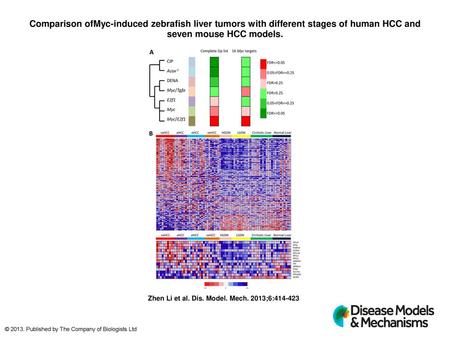 Comparison ofMyc-induced zebrafish liver tumors with different stages of human HCC and seven mouse HCC models. Comparison ofMyc-induced zebrafish liver.