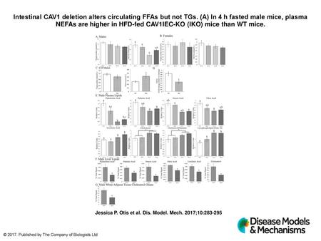 Intestinal CAV1 deletion alters circulating FFAs but not TGs