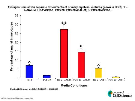 Averages from seven separate experiments of primary myoblast cultures grown in HS-2; HS-2+GAL-M; HS-2+COS-1; FCS-20; FCS-20+GAL-M; or FCS-20+COS-1. Averages.