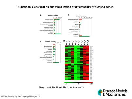 Functional classification and visualization of differentially expressed genes. Functional classification and visualization of differentially expressed.