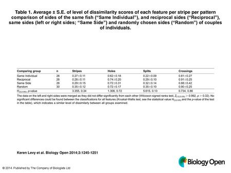 Table 1. Average ± S.E. of level of dissimilarity scores of each feature per stripe per pattern comparison of sides of the same fish (“Same Individual”),