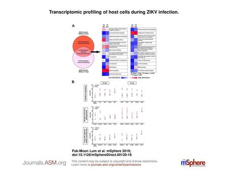 Transcriptomic profiling of host cells during ZIKV infection.