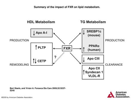 Summary of the impact of FXR on lipid metabolism.