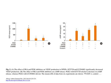 Fig. 5. (A) The effect of PKA and PI3K inhibitors on VEGF production in NPDFs. KT5720 and LY294002 significantly decreased VEGF production. (B) The effect.