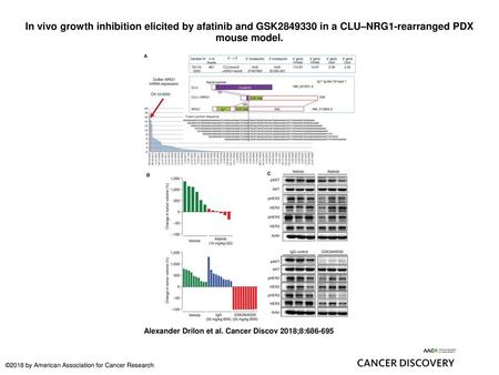 In vivo growth inhibition elicited by afatinib and GSK2849330 in a CLU–NRG1-rearranged PDX mouse model. In vivo growth inhibition elicited by afatinib.