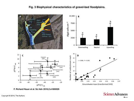 Fig. 3 Biophysical characteristics of gravel-bed floodplains.