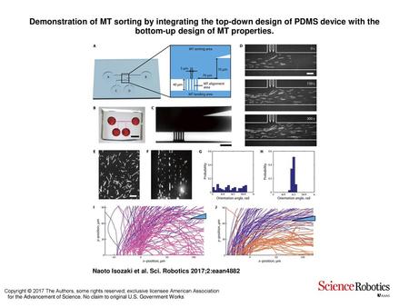 Demonstration of MT sorting by integrating the top-down design of PDMS device with the bottom-up design of MT properties. Demonstration of MT sorting by.