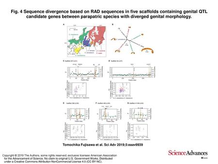 Fig. 4 Sequence divergence based on RAD sequences in five scaffolds containing genital QTL candidate genes between parapatric species with diverged genital.