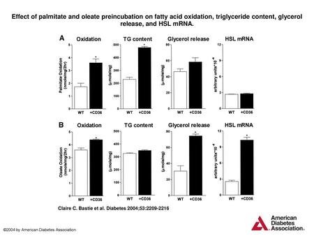 Effect of palmitate and oleate preincubation on fatty acid oxidation, triglyceride content, glycerol release, and HSL mRNA. Effect of palmitate and oleate.