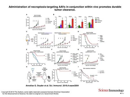 Administration of necroptosis-targeting AAVs in conjunction within vivo promotes durable tumor clearance. Administration of necroptosis-targeting AAVs.