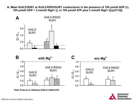 A: Mean Kir6.2/SUR1 or Kir6.2-R50G/SUR1 conductance in the presence of 100 μmol/l ADP (▪), 100 μmol/l ADP + 2 mmol/l Mg2+ (), or 100 μmol/l ATP plus 2.