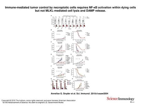 Immune-mediated tumor control by necroptotic cells requires NF-κB activation within dying cells but not MLKL-mediated cell lysis and DAMP release. Immune-mediated.