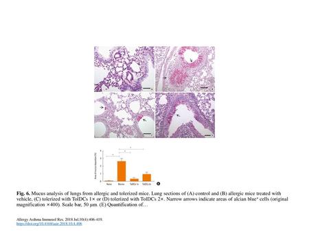 Fig. 6. Mucus analysis of lungs from allergic and tolerized mice