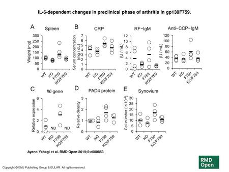 IL-6-dependent changes in preclinical phase of arthritis in gp130F759.