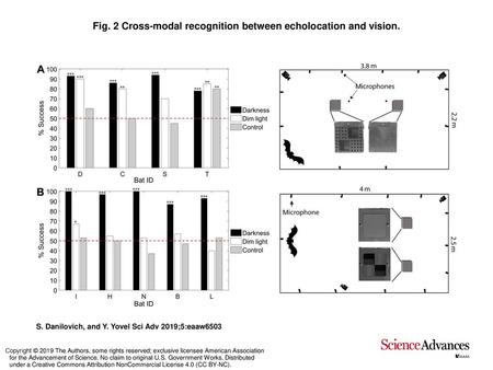 Fig. 2 Cross-modal recognition between echolocation and vision.