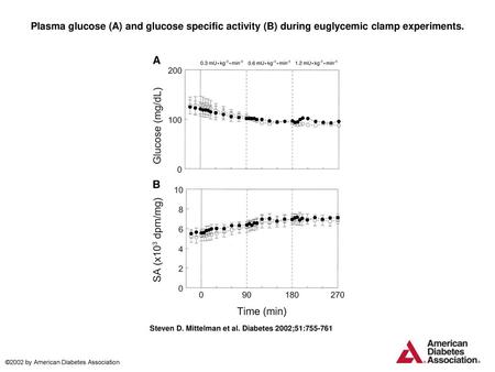 Plasma glucose (A) and glucose specific activity (B) during euglycemic clamp experiments. Plasma glucose (A) and glucose specific activity (B) during euglycemic.