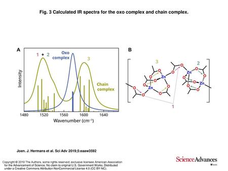 Fig. 3 Calculated IR spectra for the oxo complex and chain complex.