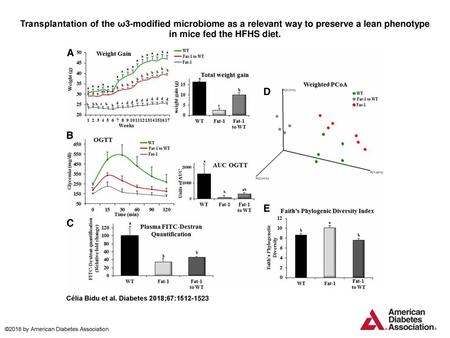 Transplantation of the ω3-modified microbiome as a relevant way to preserve a lean phenotype in mice fed the HFHS diet. Transplantation of the ω3-modified.