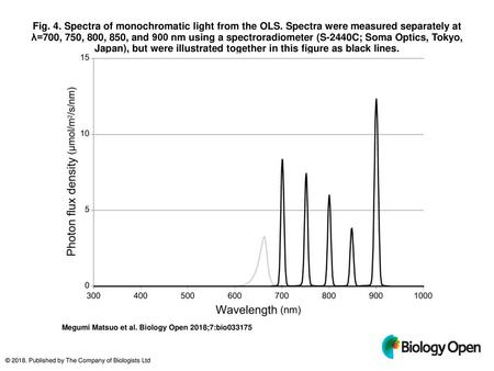 Fig. 4. Spectra of monochromatic light from the OLS