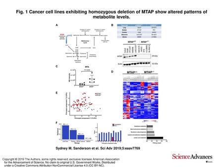 Fig. 1 Cancer cell lines exhibiting homozygous deletion of MTAP show altered patterns of metabolite levels. Cancer cell lines exhibiting homozygous deletion.