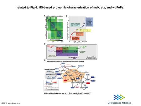 Related to Fig 6. MS-based proteomic characterization of mdx, ctx, and wt FAPs. related to Fig 6. MS-based proteomic characterization of mdx, ctx, and.