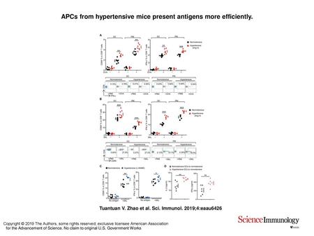 APCs from hypertensive mice present antigens more efficiently.