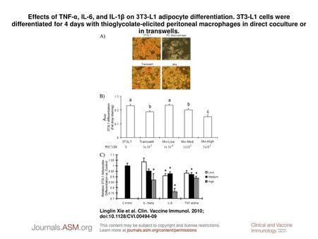 Effects of TNF-α, IL-6, and IL-1β on 3T3-L1 adipocyte differentiation