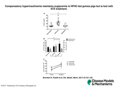 Compensatory hyperinsulinemia maintains euglycemia in HFHC-fed guinea pigs but is lost with STZ treatment. Compensatory hyperinsulinemia maintains euglycemia.