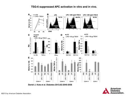 TSG-6 suppressed APC activation in vitro and in vivo.