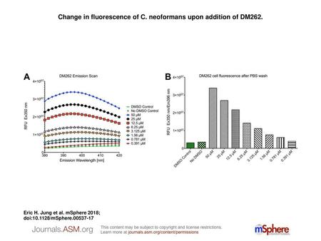 Change in fluorescence of C. neoformans upon addition of DM262.