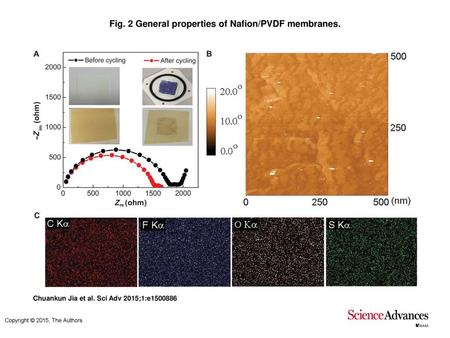 Fig. 2 General properties of Nafion/PVDF membranes.