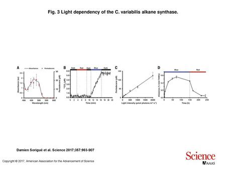 Fig. 3 Light dependency of the C. variabilis alkane synthase.