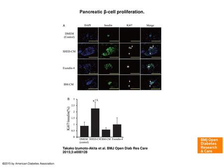 Pancreatic β-cell proliferation.