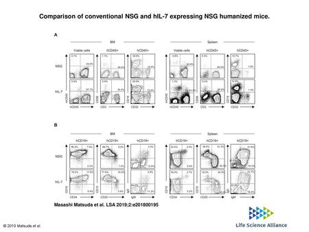 Comparison of conventional NSG and hIL-7 expressing NSG humanized mice