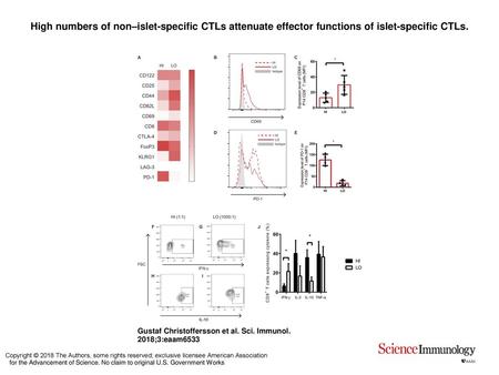 High numbers of non–islet-specific CTLs attenuate effector functions of islet-specific CTLs. High numbers of non–islet-specific CTLs attenuate effector.