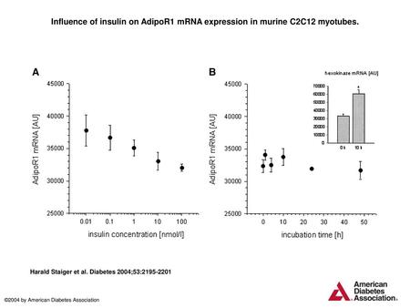 Influence of insulin on AdipoR1 mRNA expression in murine C2C12 myotubes. Influence of insulin on AdipoR1 mRNA expression in murine C2C12 myotubes. Data.