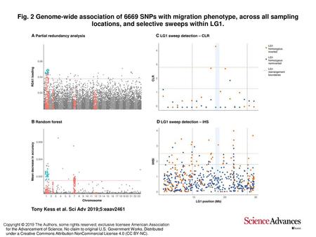 Fig. 2 Genome-wide association of 6669 SNPs with migration phenotype, across all sampling locations, and selective sweeps within LG1. Genome-wide association.