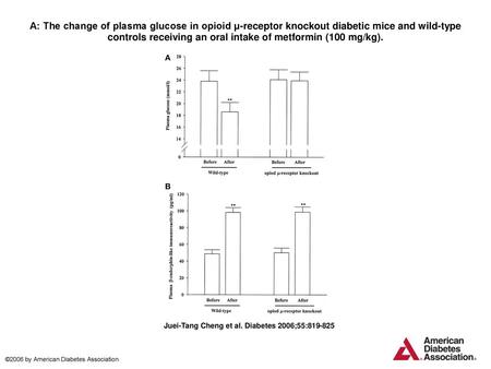 A: The change of plasma glucose in opioid μ-receptor knockout diabetic mice and wild-type controls receiving an oral intake of metformin (100 mg/kg). A: