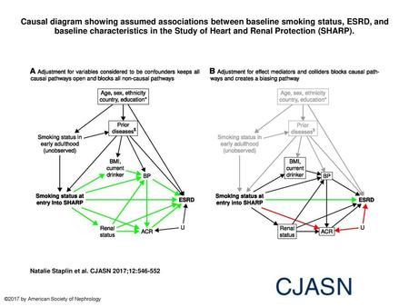 Causal diagram showing assumed associations between baseline smoking status, ESRD, and baseline characteristics in the Study of Heart and Renal Protection.