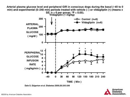 Arterial plasma glucose level and peripheral GIR in conscious dogs during the basal (−40 to 0 min) and experimental (0–240 min) periods treated with vehicle.