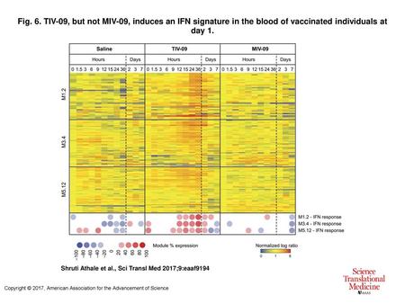 Fig. 6. TIV-09, but not MIV-09, induces an IFN signature in the blood of vaccinated individuals at day 1. TIV-09, but not MIV-09, induces an IFN signature.