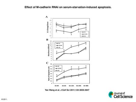 Effect of M-cadherin RNAi on serum-starvation-induced apoptosis.