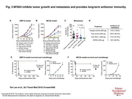 Fig. 3 M7824 inhibits tumor growth and metastasis and provides long-term antitumor immunity. M7824 inhibits tumor growth and metastasis and provides long-term.