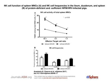 NK cell function of spleen MNCs (A) and NK cell frequencies in the ileum, duodenum, and spleen (B) of protein-deficient and -sufficient HIFM/HRV-infected.