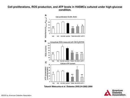 Cell proliferations, ROS production, and ATP levels in HASMCs cultured under high-glucose condition. Cell proliferations, ROS production, and ATP levels.