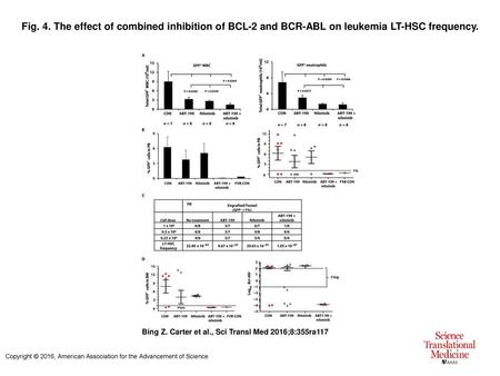 Fig. 4. The effect of combined inhibition of BCL-2 and BCR-ABL on leukemia LT-HSC frequency. The effect of combined inhibition of BCL-2 and BCR-ABL on.