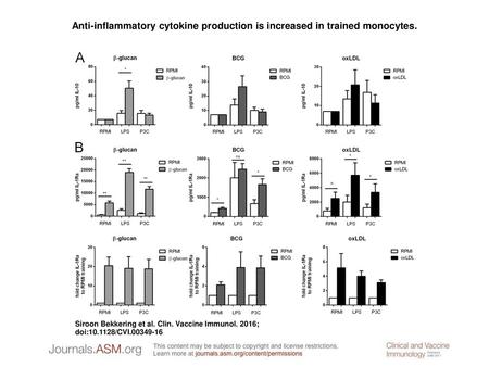 Anti-inflammatory cytokine production is increased in trained monocytes. Anti-inflammatory cytokine production is increased in trained monocytes. (A) IL-10.