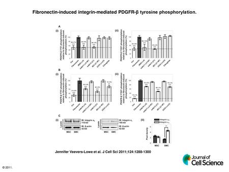 Fibronectin-induced integrin-mediated PDGFR-β tyrosine phosphorylation