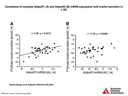 Correlation of myotube AdipoR1 (A) and AdipoR2 (B) mRNA expression with insulin secretion (n = 40). Correlation of myotube AdipoR1 (A) and AdipoR2 (B)